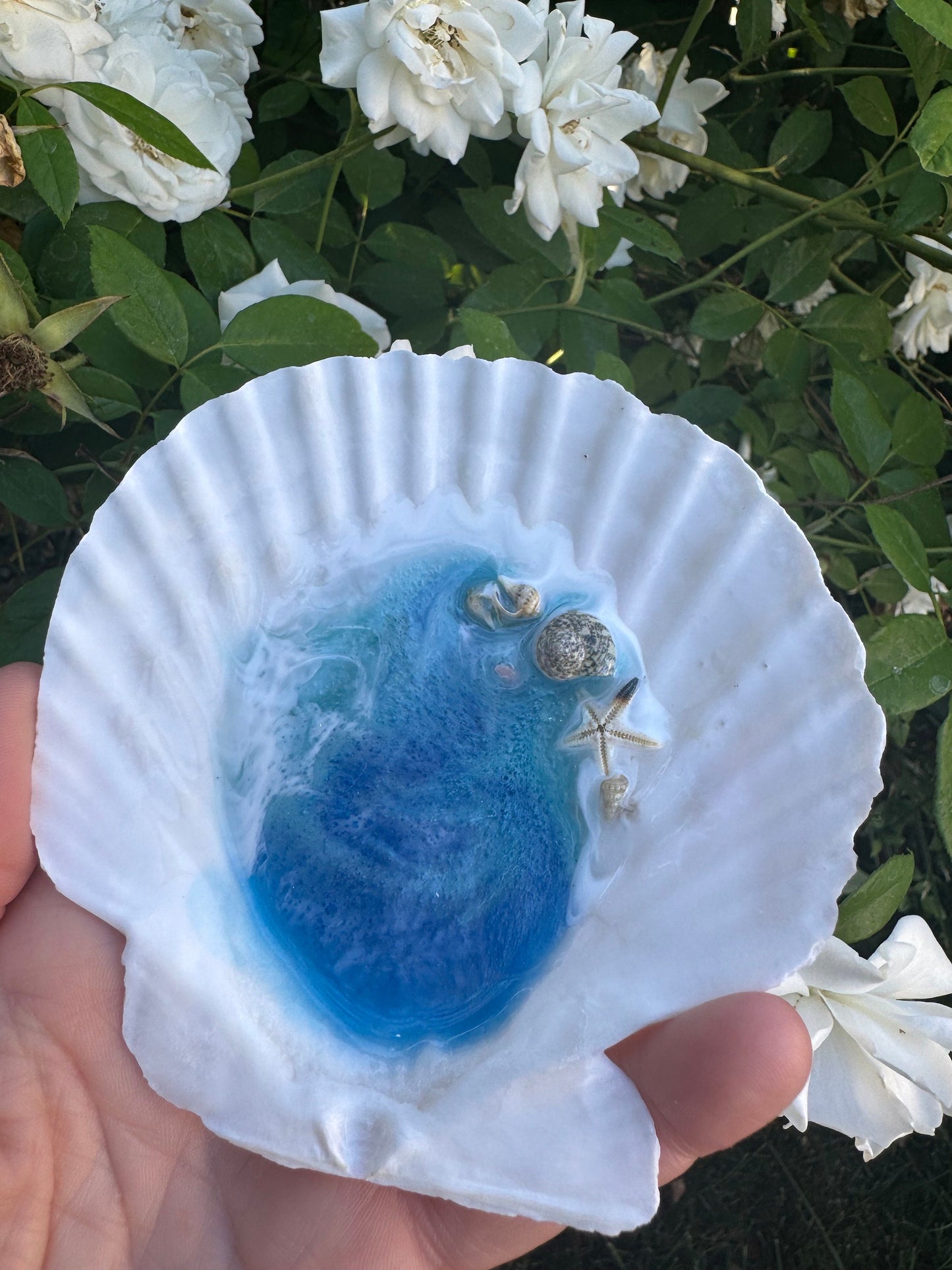 Beach Shell Ring Dish, Ocean Wave Jewelry Dish, Beach Lover Gift, Decorated White Shell for Her, Shell Trinket, Coastal Decor Small Dish